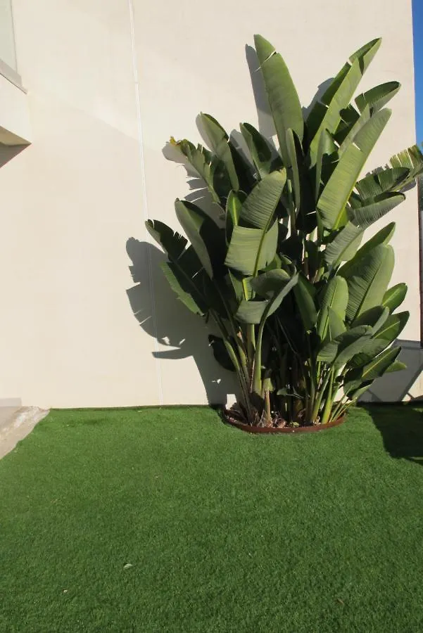 Villa l Olivier Sanary 0*, Sanary-sur-Mer France